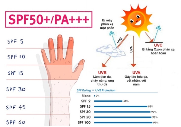 image19-18 Hình ảnh minh họa mức độ bảo vệ của SPF và PA chống tia UV với biểu đồ và hình ảnh tia UV từ mặt trời.