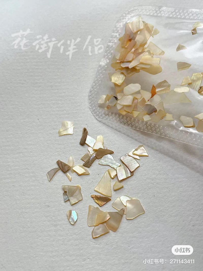 Những mảnh vỏ trai nhỏ, màu sắc đa dạng, được đặt trên bề mặt trắng và trong một túi nhựa trong suốt.