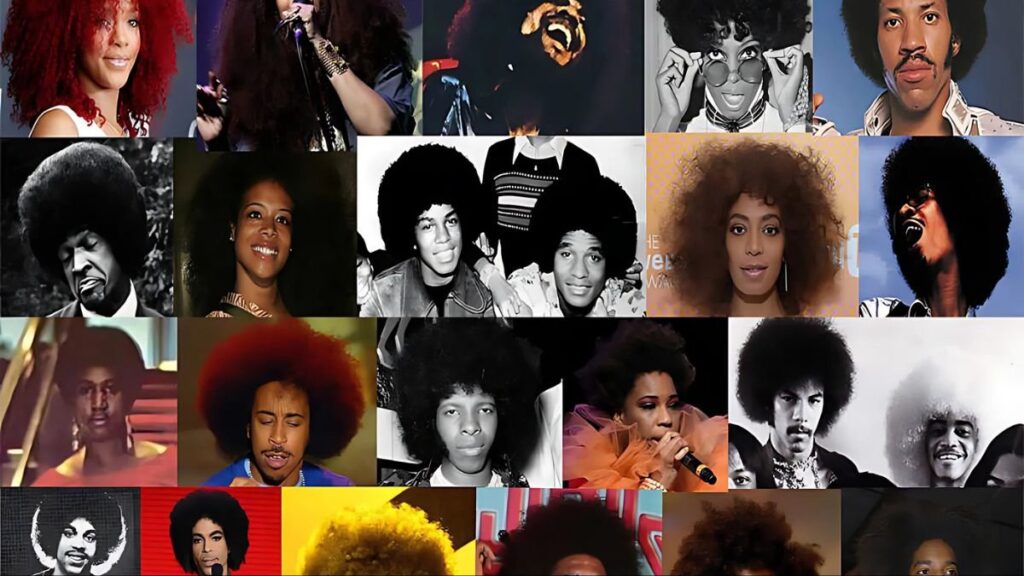 toc afro 1 1
