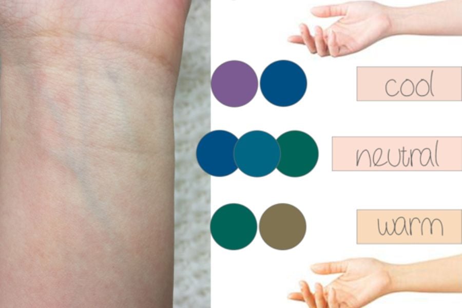 Cổ tay người với bảng màu ven kèm chú thích "cool", "neutral", "warm" và hình minh họa bàn tay.