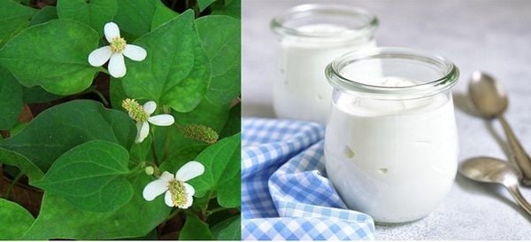 Cho làn da mịn màng và trắng sáng