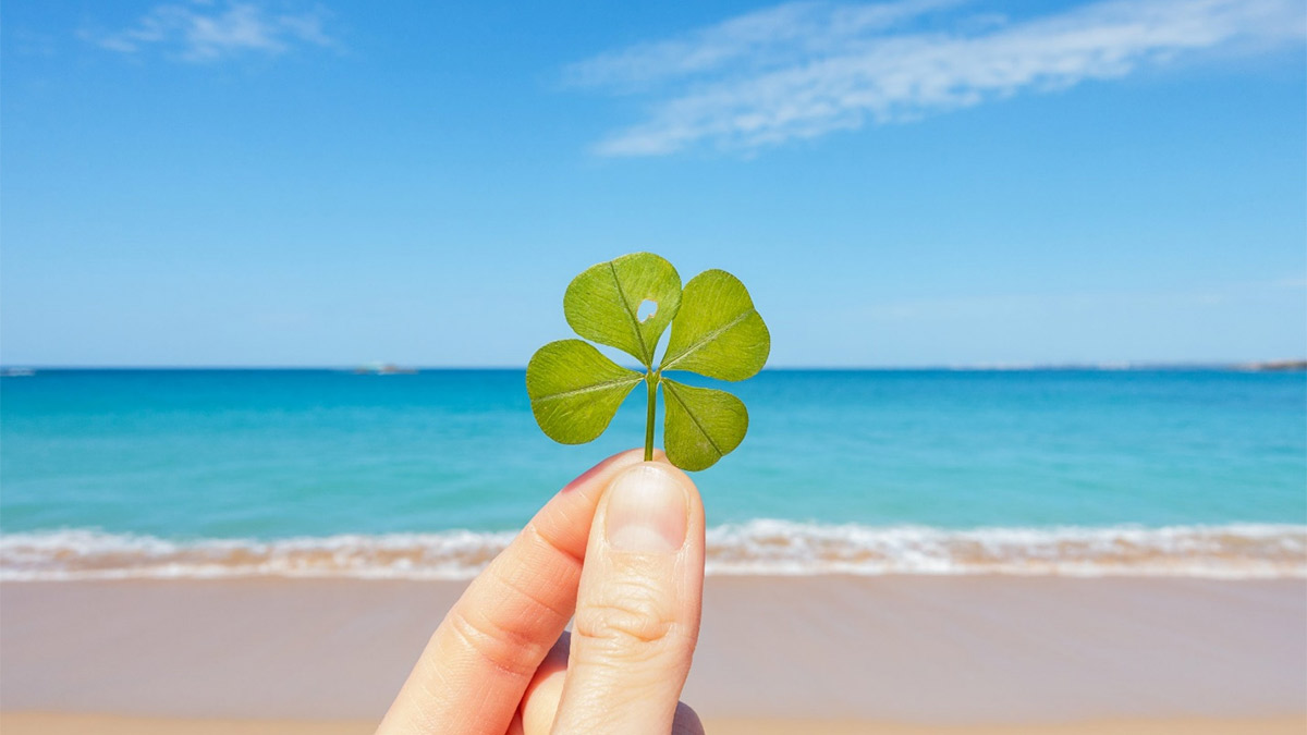 dau-nam-co-nen-cat-toc-3 Bàn tay cầm một lá cỏ bốn lá trước bãi biển xanh, bầu trời trong xanh và có vài đám mây trắng.