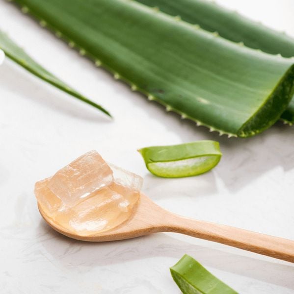 Lá nha đam và gel nha đam trên muỗng gỗ, đặt trên nền trắng.