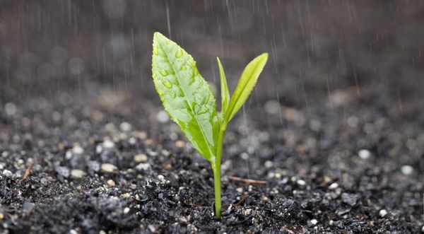 img02_1_grande img02 1 grande