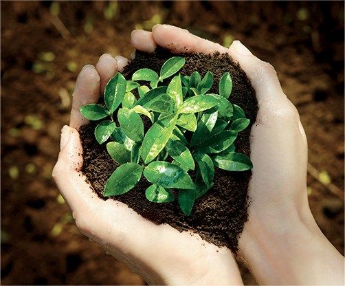 img02_3_grande img02 3 grande