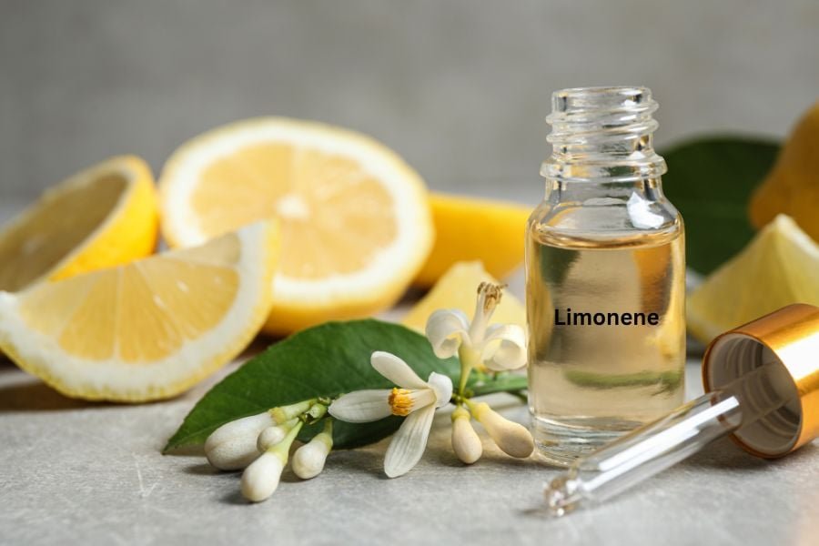 Khám Phá Limonene: Thành Phần Kỳ Diệu Trong Công Thức Son Dưỡng Môi Hoàn Hảo 1 limonene la gi 2 270885423ea0484ea6fd75e62462ef78 1
