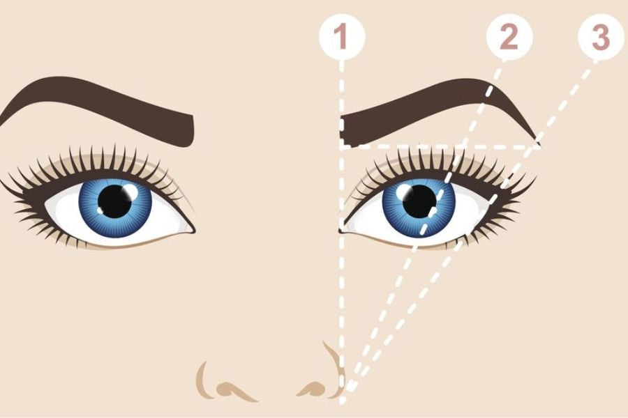 Minh họa đôi mắt với mũi tên chỉ hướng, tập trung vào cách vẽ lông mày chuẩn theo ba điểm chính.