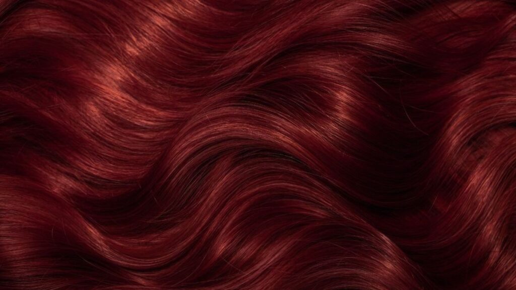 nau cherry 1 1